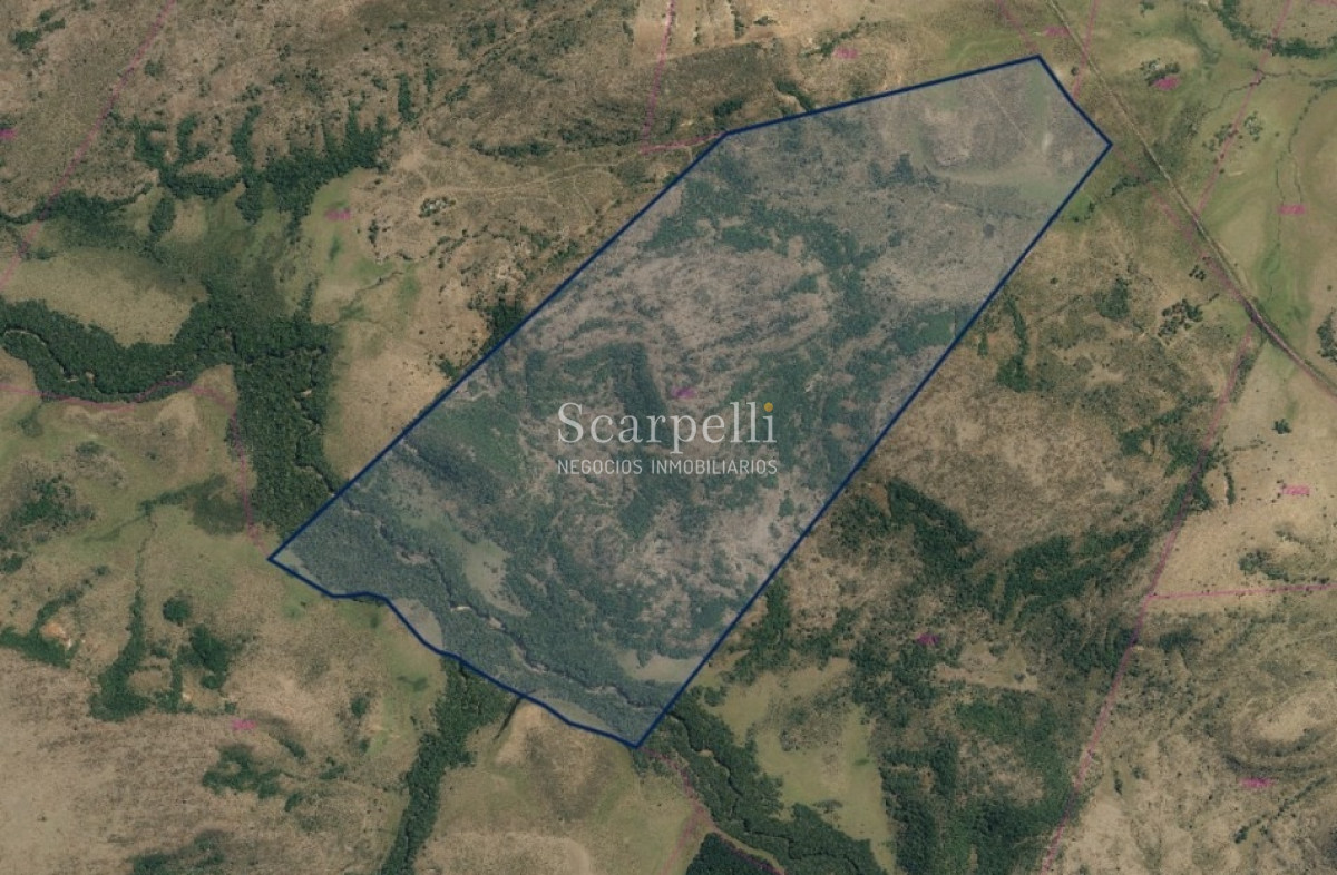 Campo Ref.41721 - VENTA CAMPO TACUAREMBÓ PRÓXIMO PASO DEL CERRO  213 HÁS CON COSTA ARROYO CARPINTERÍA E IMPORTANTE MONTE INDÍGENA.-