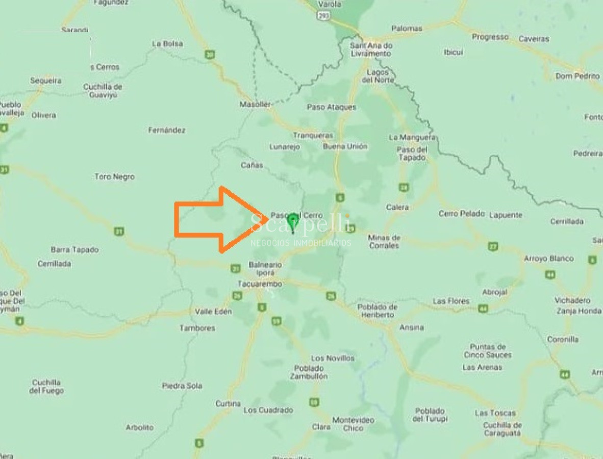 Campo Ref.41721 - VENTA CAMPO TACUAREMBÓ PRÓXIMO PASO DEL CERRO  213 HÁS CON COSTA ARROYO CARPINTERÍA E IMPORTANTE MONTE INDÍGENA.-