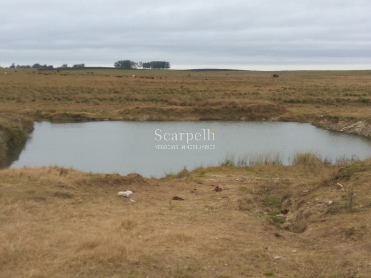 Campo Ref.42955 - Estupendo Campo Agrícola Ganadero proximo a Ruta 5 y Ciudad de Durazno