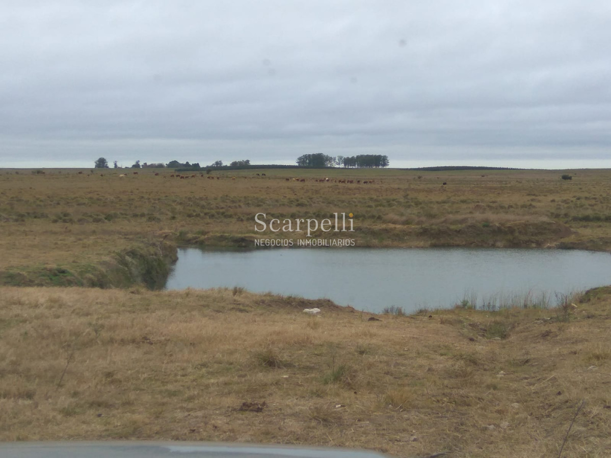 Campo Ref.42955 - Estupendo Campo Agrícola Ganadero proximo a Ruta 5 y Ciudad de Durazno