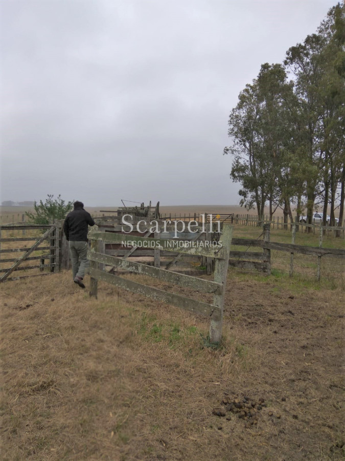 Campo Ref.42955 - Estupendo Campo Agrícola Ganadero proximo a Ruta 5 y Ciudad de Durazno