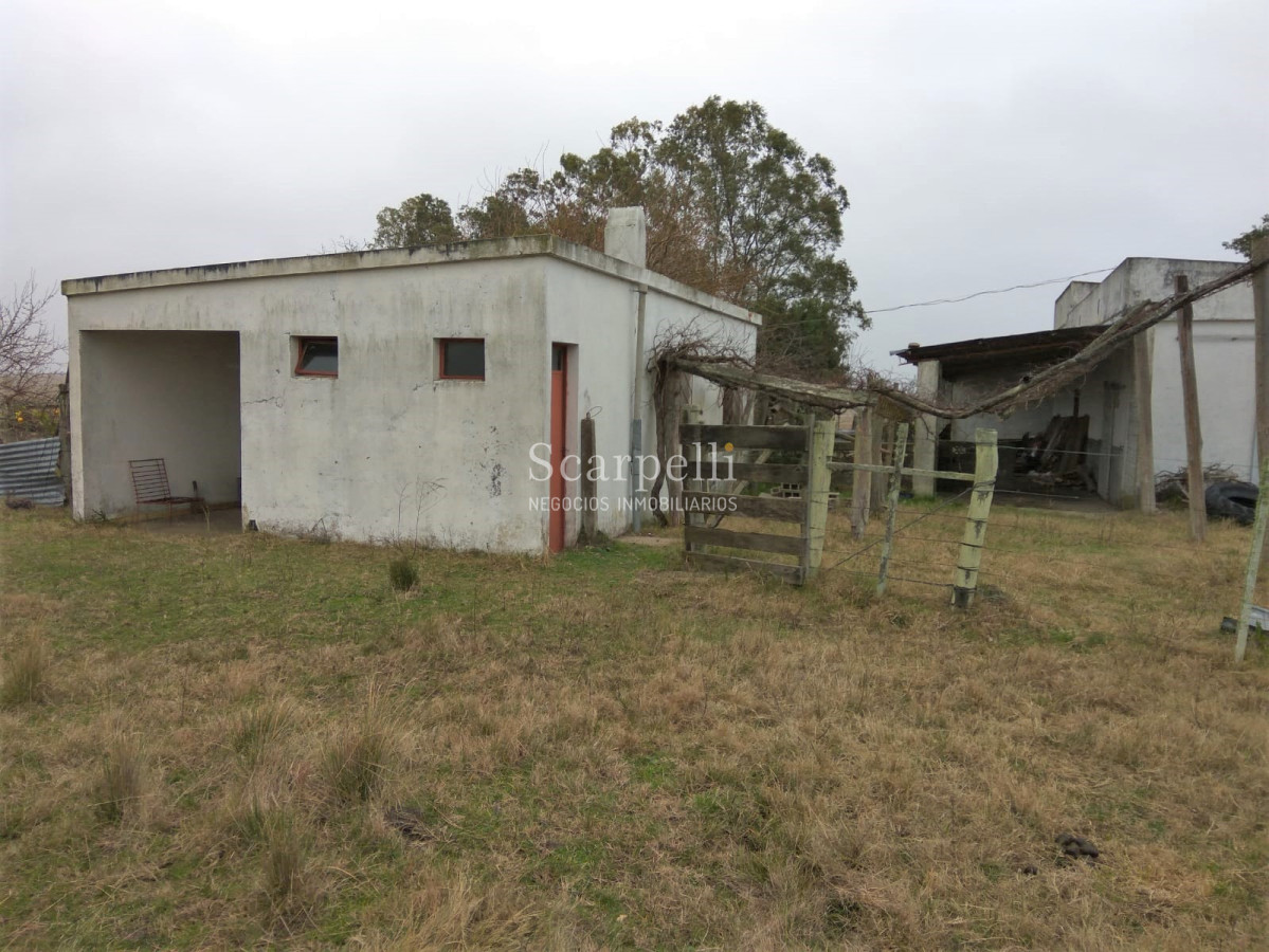 Campo Ref.42955 - Estupendo Campo Agrícola Ganadero proximo a Ruta 5 y Ciudad de Durazno