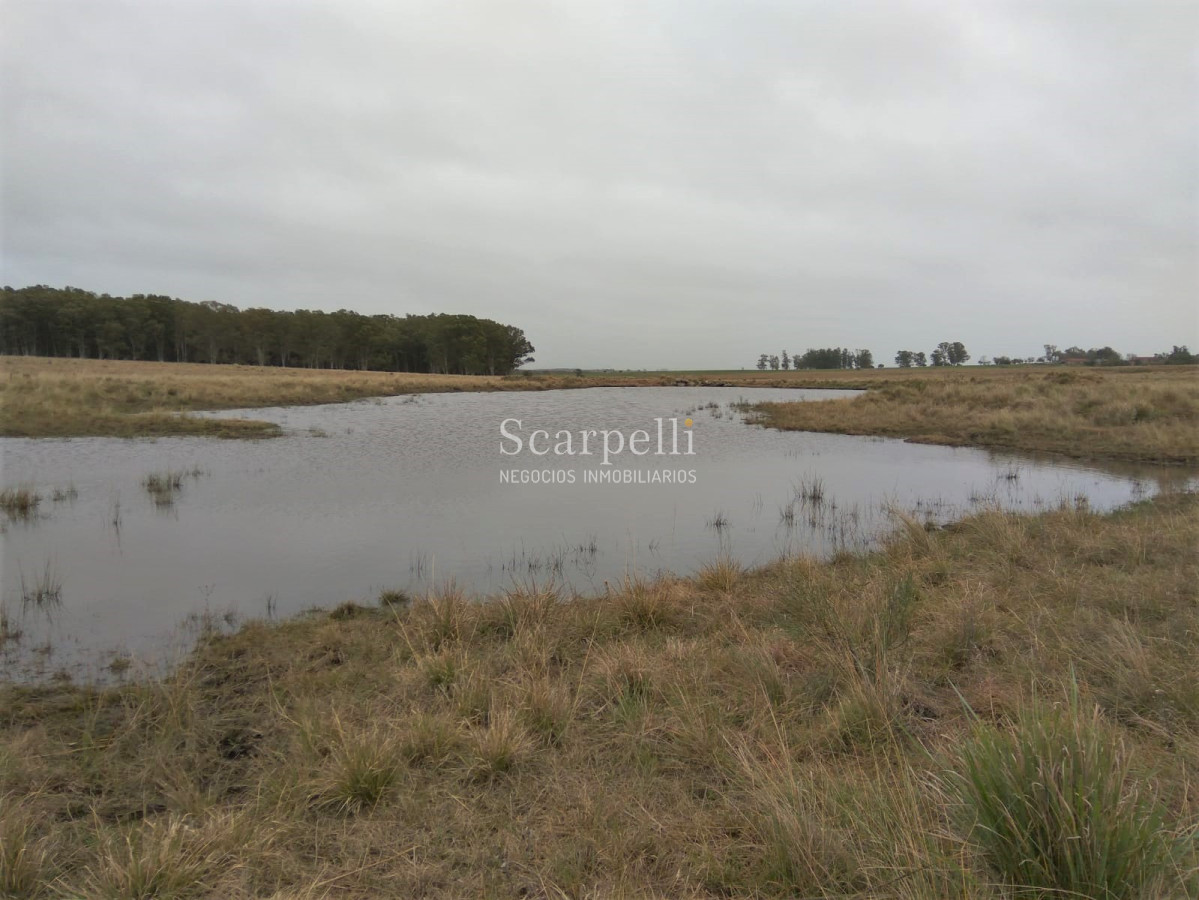 Campo Ref.42955 - Estupendo Campo Agrícola Ganadero proximo a Ruta 5 y Ciudad de Durazno