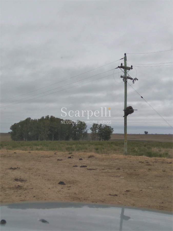 Campo Ref.42955 - Estupendo Campo Agrícola Ganadero proximo a Ruta 5 y Ciudad de Durazno
