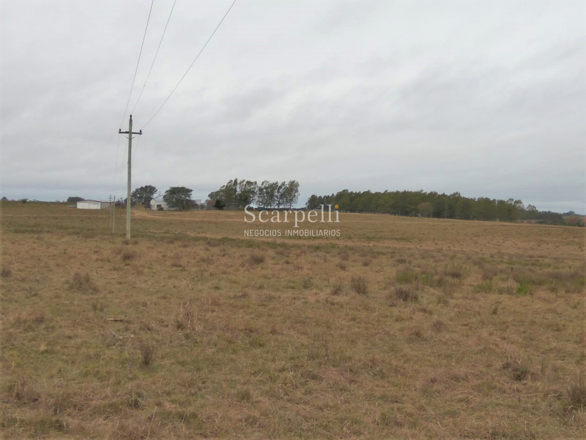 Campo Ref.42955 - Estupendo Campo Agrícola Ganadero proximo a Ruta 5 y Ciudad de Durazno