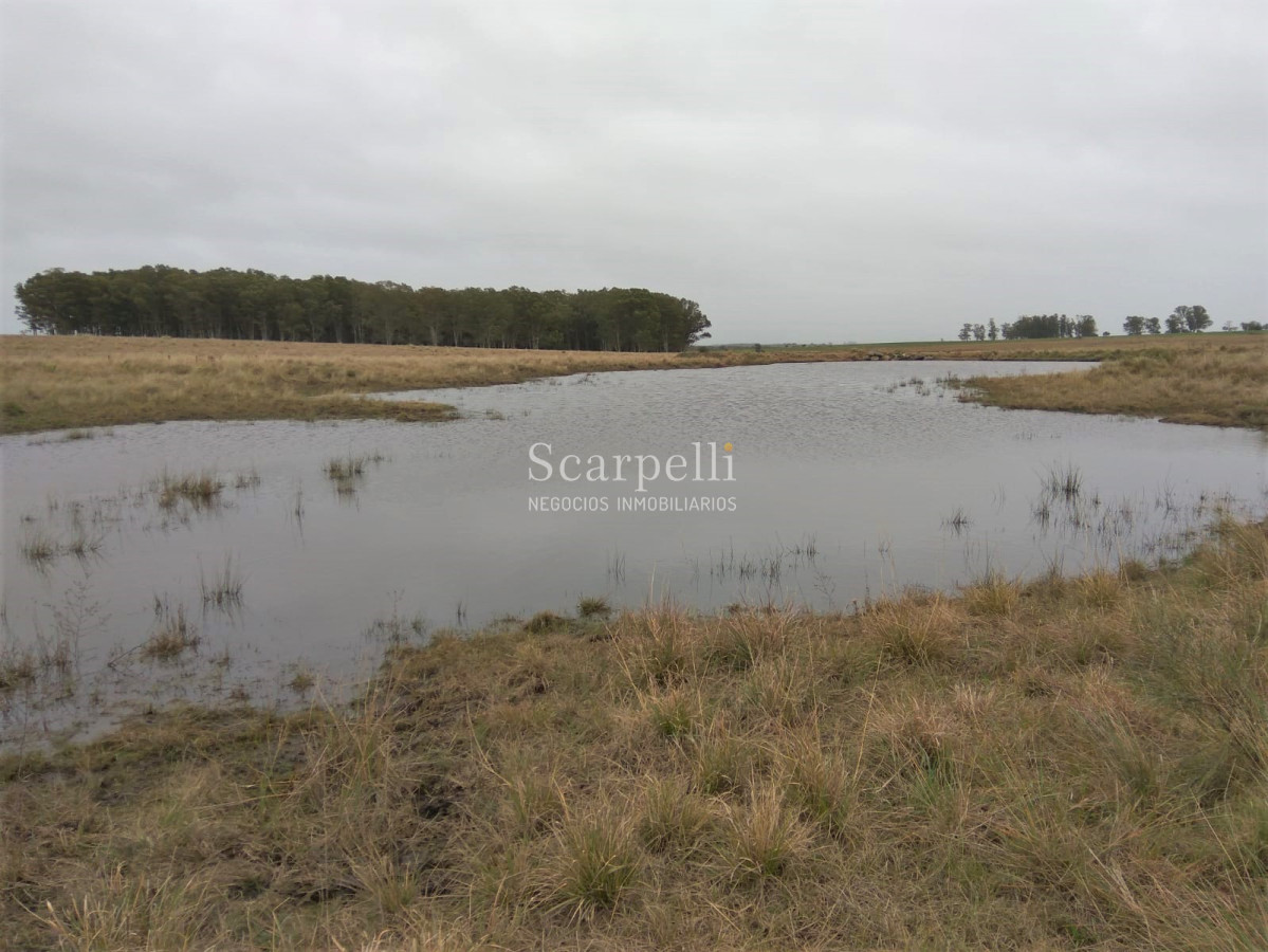 Campo Ref.42955 - Estupendo Campo Agrícola Ganadero proximo a Ruta 5 y Ciudad de Durazno