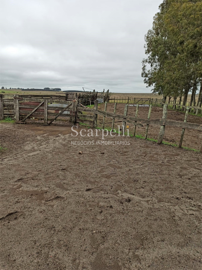 Campo Ref.42955 - Estupendo Campo Agrícola Ganadero proximo a Ruta 5 y Ciudad de Durazno