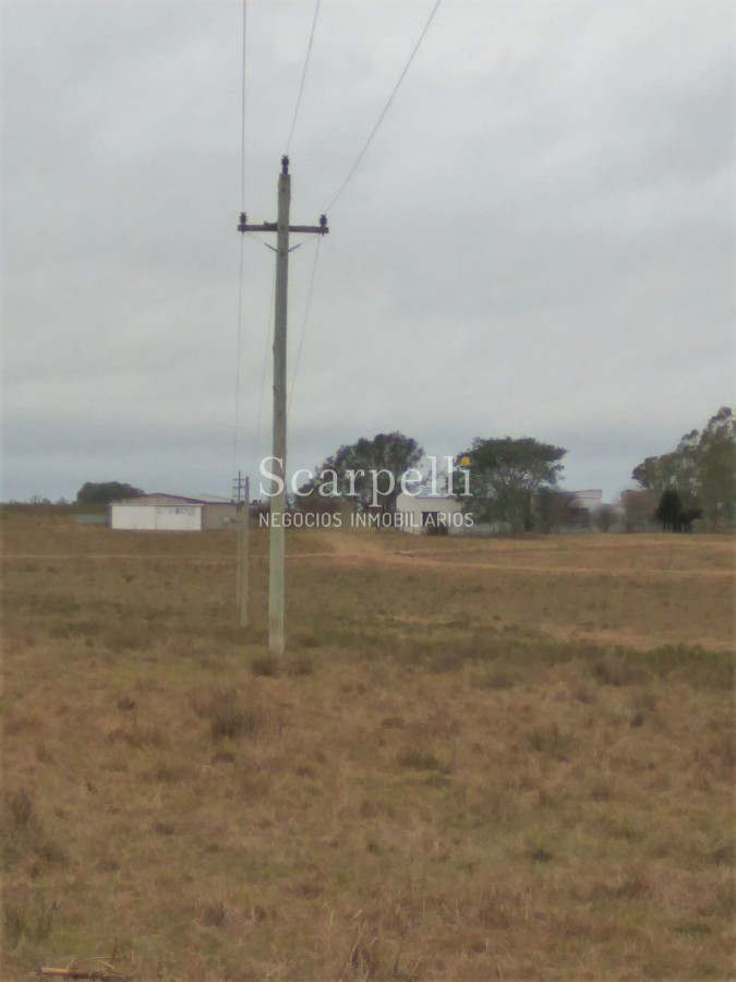 Campo Ref.42955 - Estupendo Campo Agrícola Ganadero proximo a Ruta 5 y Ciudad de Durazno
