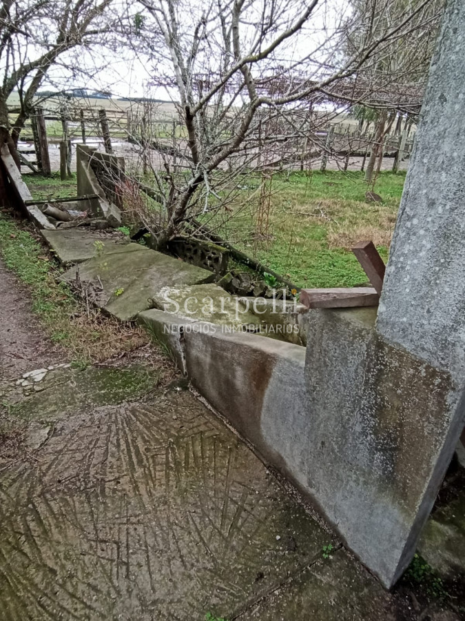 Campo Ref.42955 - Estupendo Campo Agrícola Ganadero proximo a Ruta 5 y Ciudad de Durazno