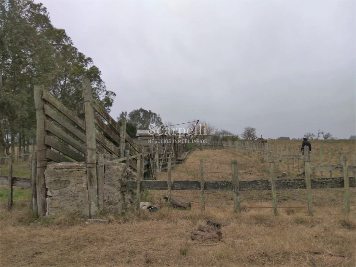 Campo Ref.42955 - Estupendo Campo Agrícola Ganadero proximo a Ruta 5 y Ciudad de Durazno