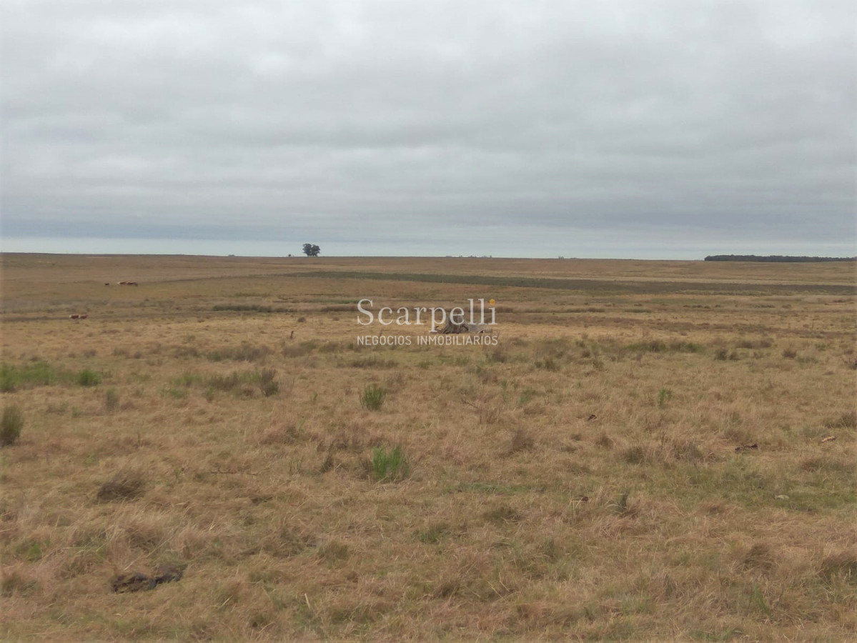 Campo Ref.42955 - Estupendo Campo Agrícola Ganadero proximo a Ruta 5 y Ciudad de Durazno