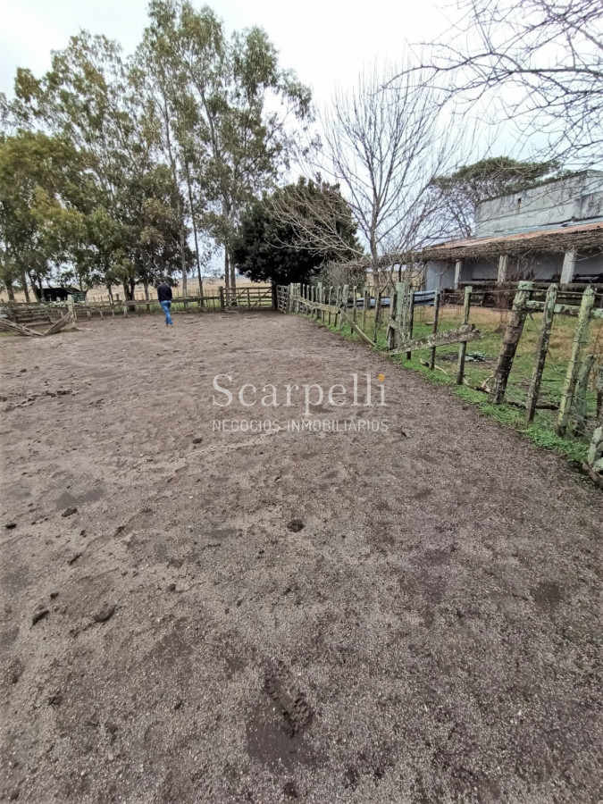 Campo Ref.42955 - Estupendo Campo Agrícola Ganadero proximo a Ruta 5 y Ciudad de Durazno