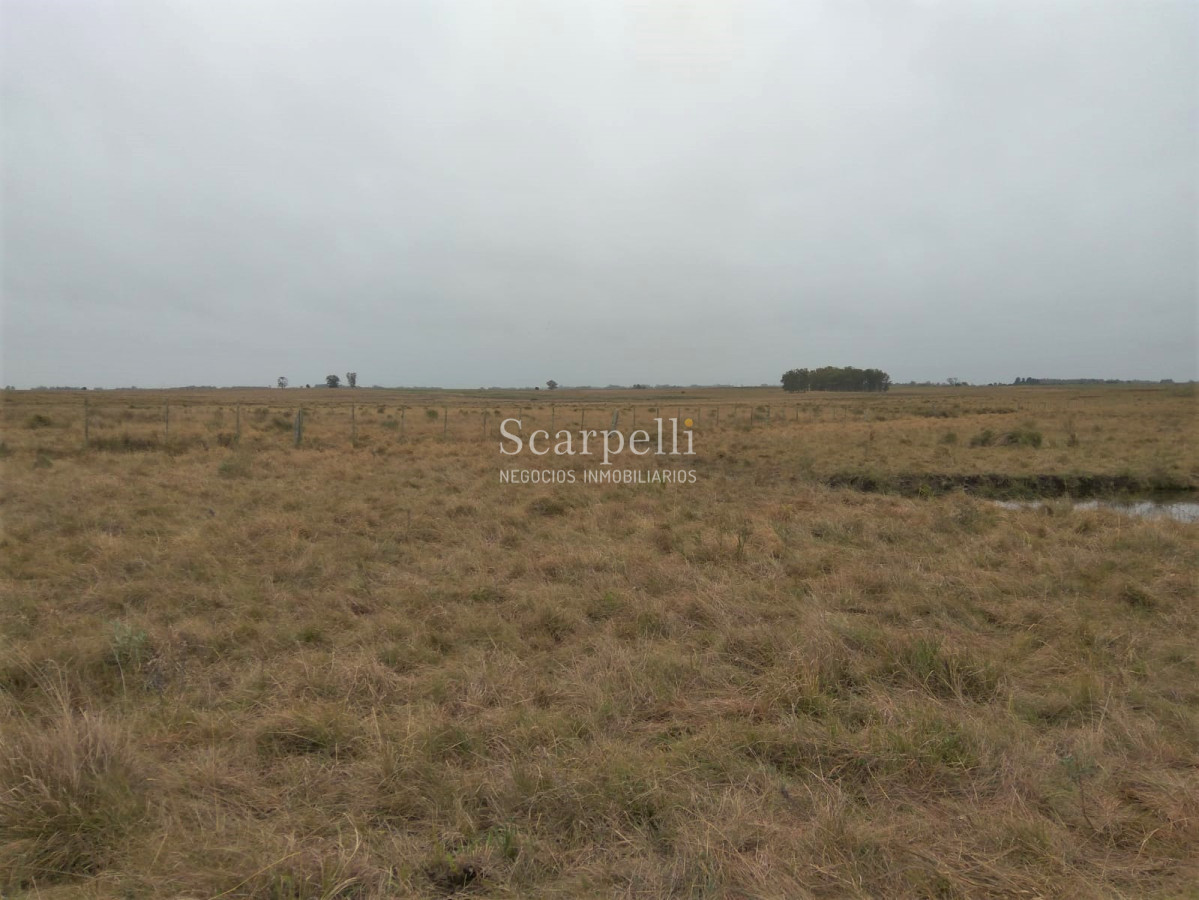 Campo Ref.42955 - Estupendo Campo Agrícola Ganadero proximo a Ruta 5 y Ciudad de Durazno