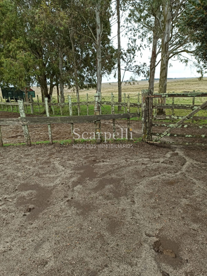 Campo Ref.42955 - Estupendo Campo Agrícola Ganadero proximo a Ruta 5 y Ciudad de Durazno