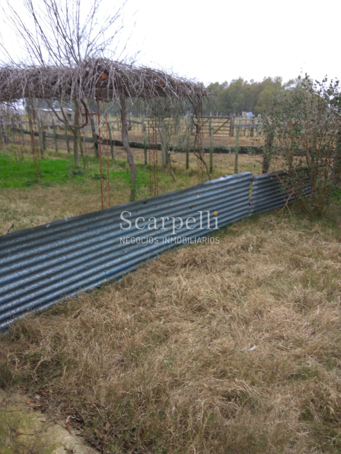 Campo Ref.42955 - Estupendo Campo Agrícola Ganadero proximo a Ruta 5 y Ciudad de Durazno