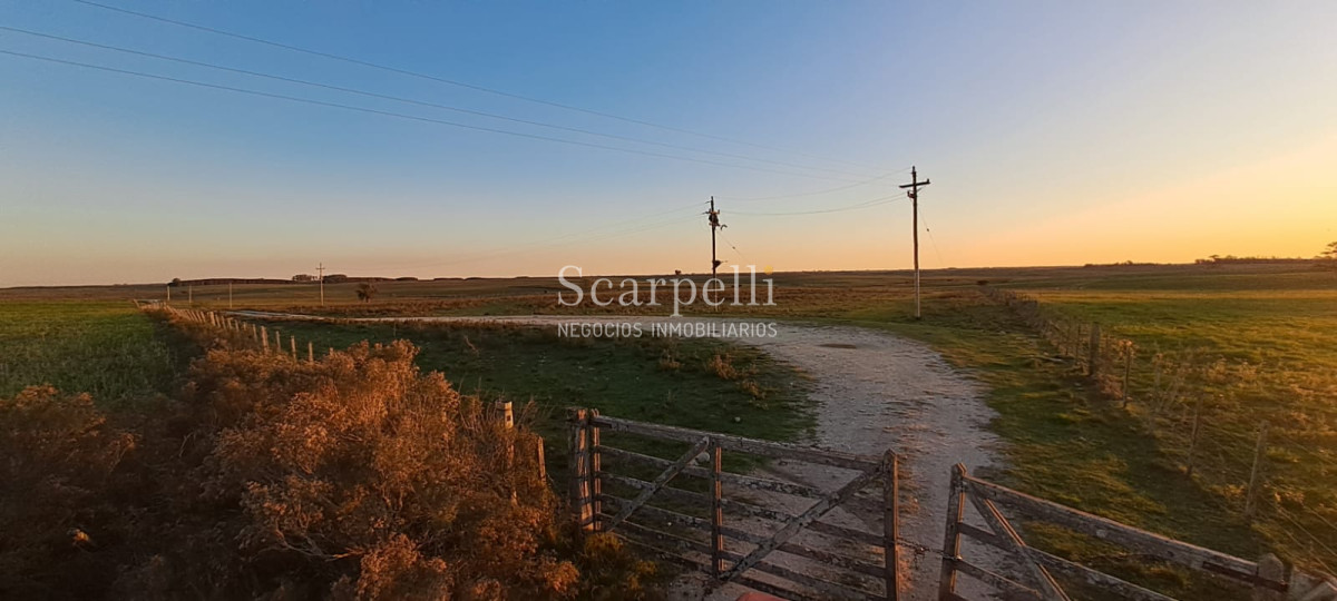 Campo Ref.42955 - Estupendo Campo Agrícola Ganadero proximo a Ruta 5 y Ciudad de Durazno