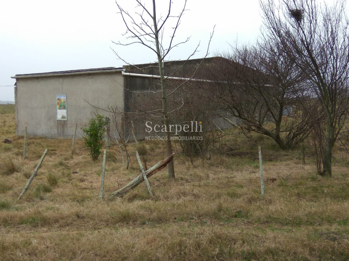 Campo Ref.42955 - Estupendo Campo Agrícola Ganadero proximo a Ruta 5 y Ciudad de Durazno