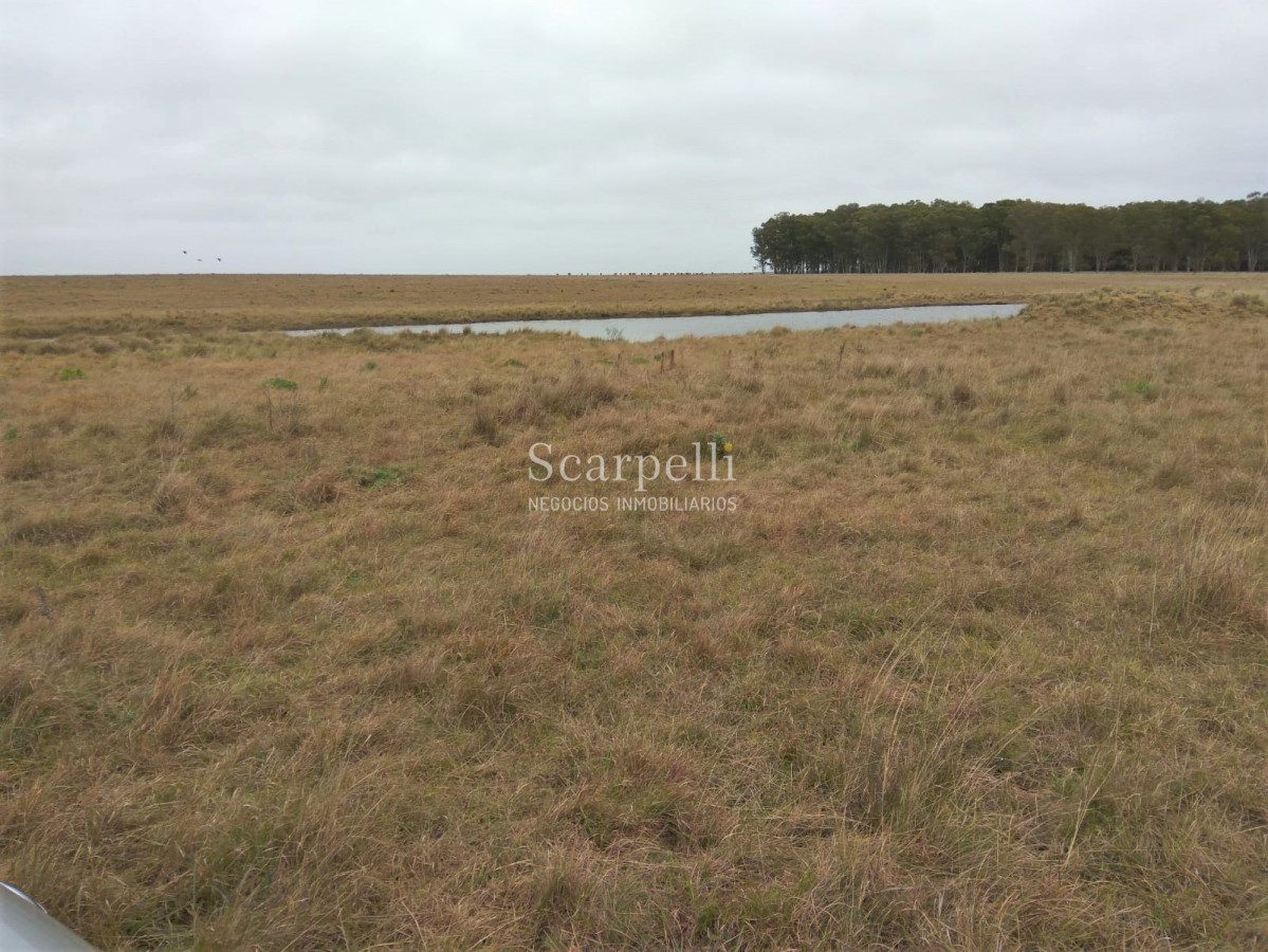 Campo Ref.42955 - Estupendo Campo Agrícola Ganadero proximo a Ruta 5 y Ciudad de Durazno