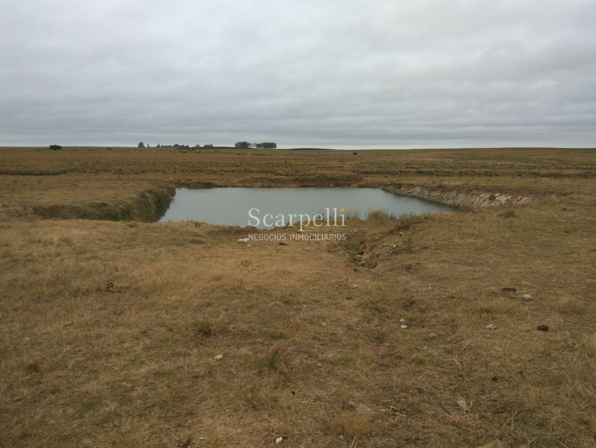 Campo Ref.42955 - Estupendo Campo Agrícola Ganadero proximo a Ruta 5 y Ciudad de Durazno