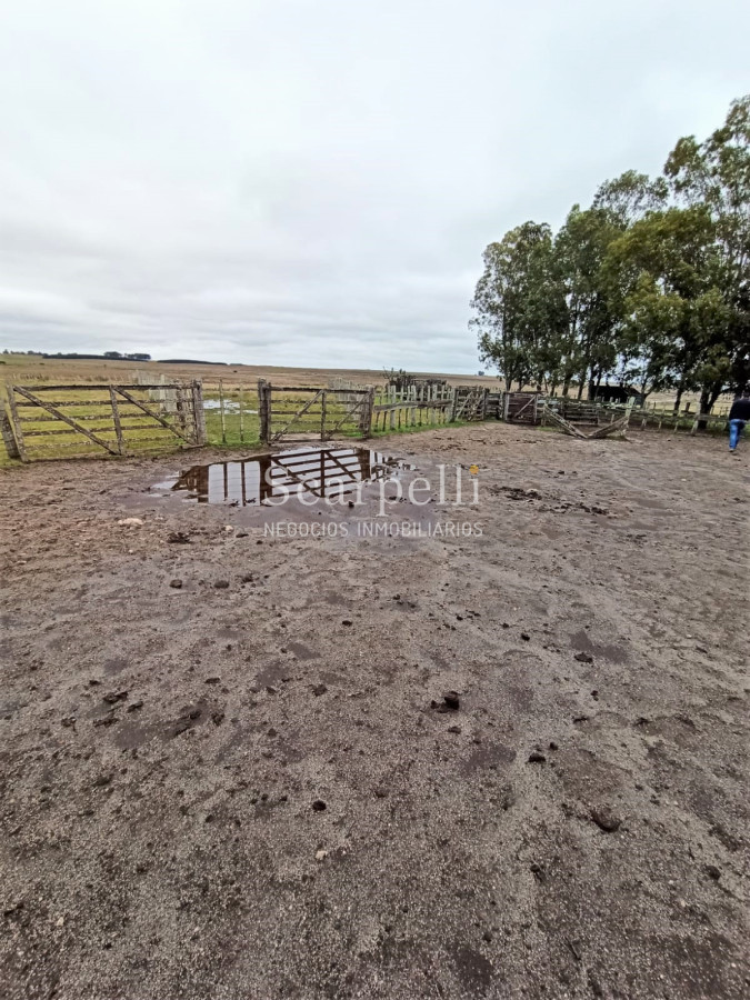 Campo Ref.42955 - Estupendo Campo Agrícola Ganadero proximo a Ruta 5 y Ciudad de Durazno