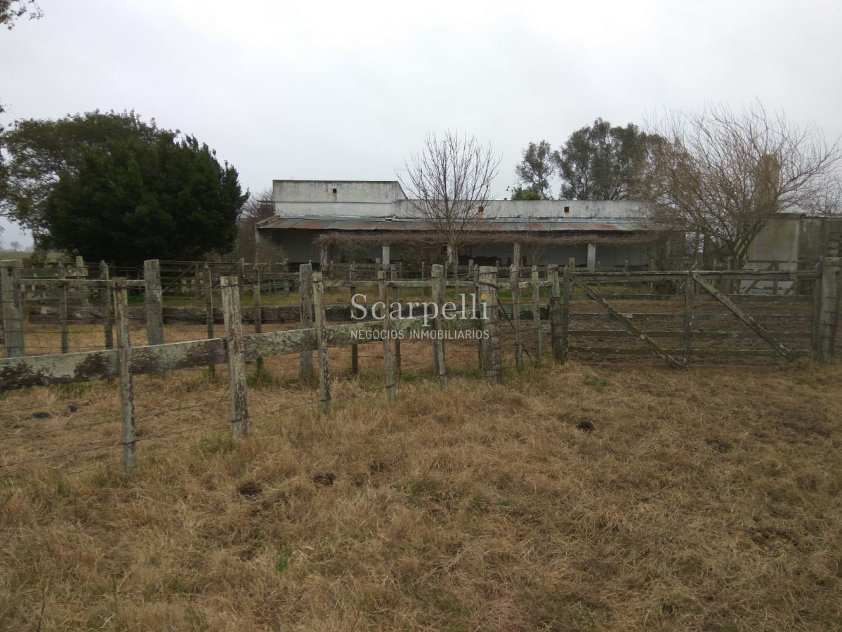 Campo Ref.42955 - Estupendo Campo Agrícola Ganadero proximo a Ruta 5 y Ciudad de Durazno