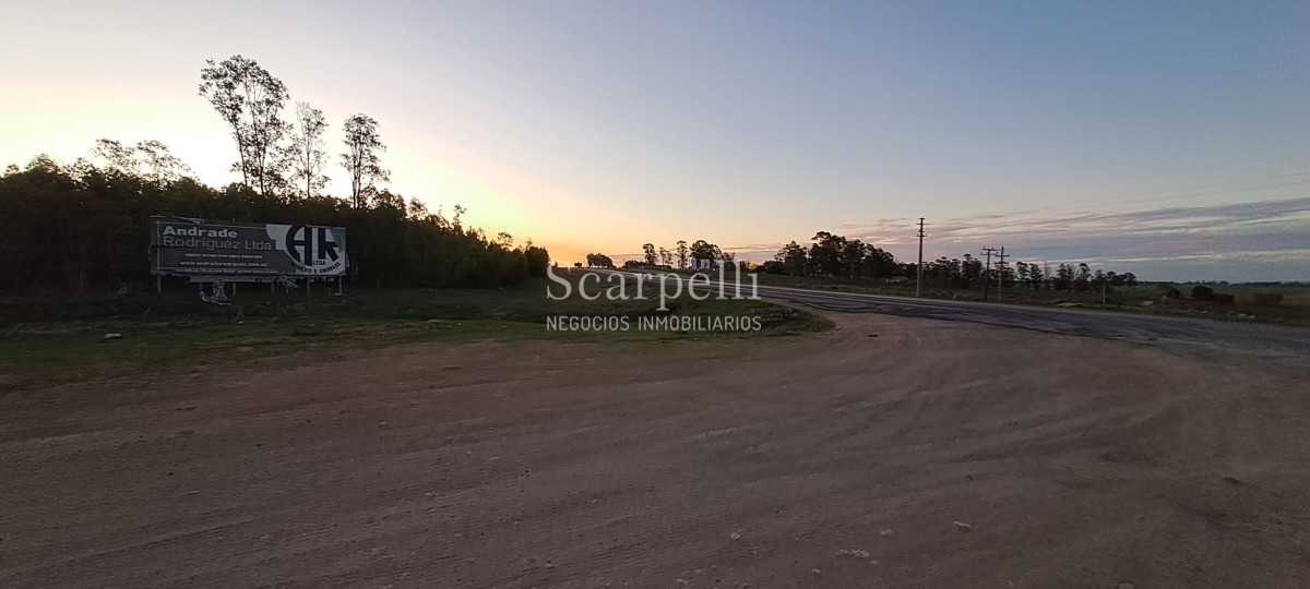 Campo Ref.42955 - Estupendo Campo Agrícola Ganadero proximo a Ruta 5 y Ciudad de Durazno