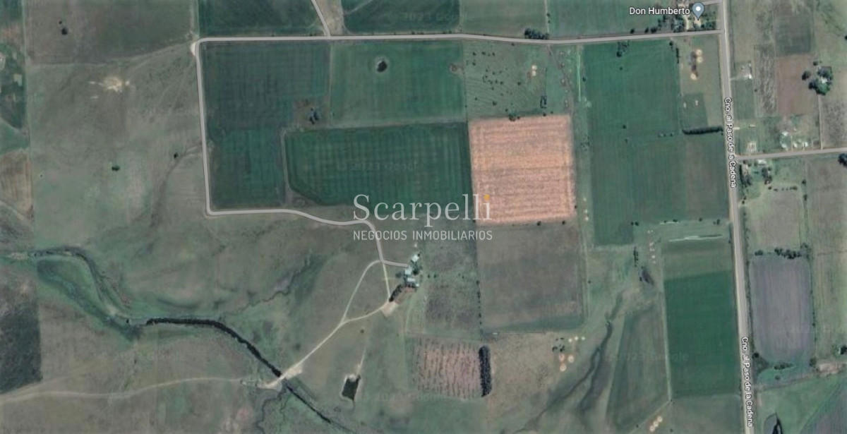 Campo Ref.42955 - Estupendo Campo Agrícola Ganadero proximo a Ruta 5 y Ciudad de Durazno