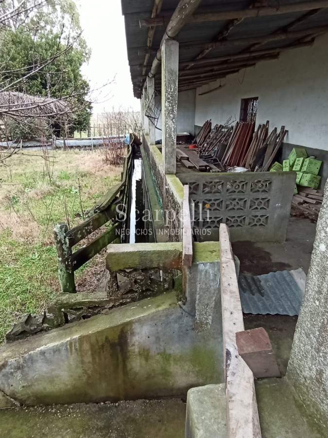 Campo Ref.42955 - Estupendo Campo Agrícola Ganadero proximo a Ruta 5 y Ciudad de Durazno