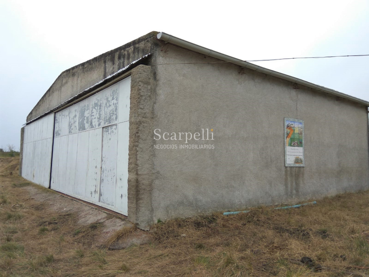 Campo Ref.42955 - Estupendo Campo Agrícola Ganadero proximo a Ruta 5 y Ciudad de Durazno