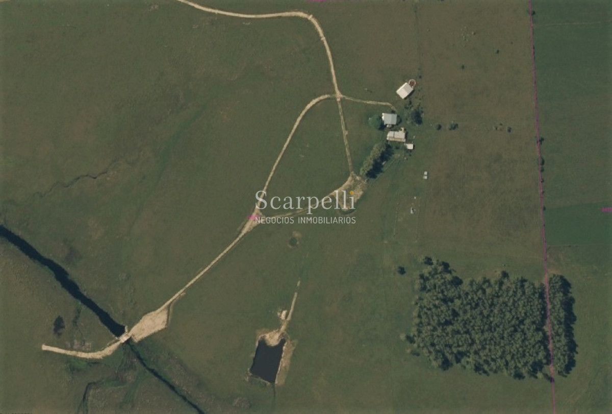 Campo Ref.42955 - Estupendo Campo Agrícola Ganadero proximo a Ruta 5 y Ciudad de Durazno