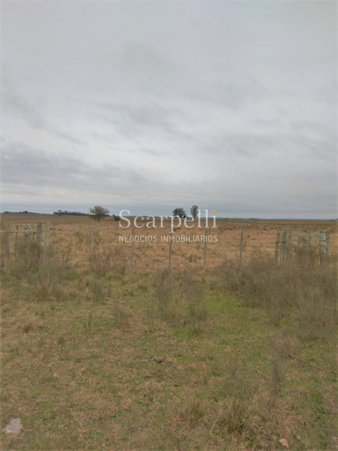 Campo Ref.42955 - Estupendo Campo Agrícola Ganadero proximo a Ruta 5 y Ciudad de Durazno