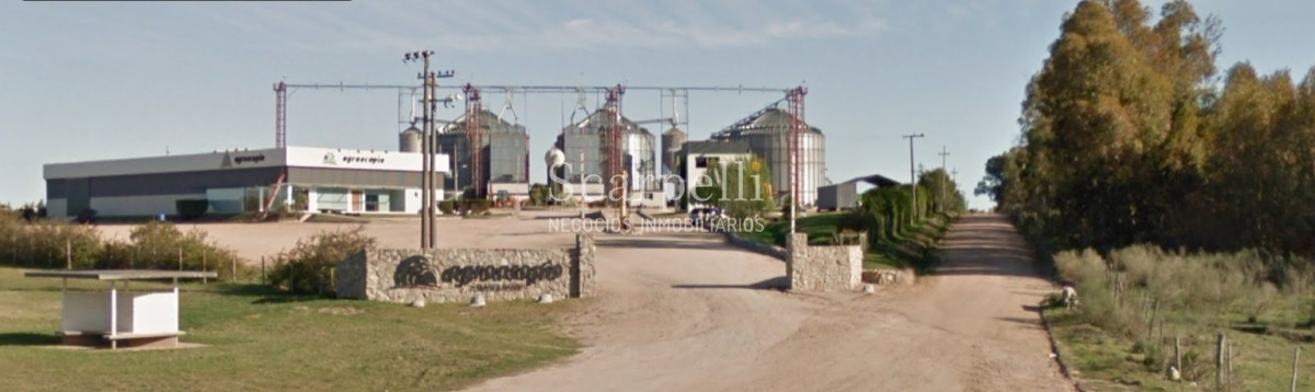 Campo Ref.42955 - Estupendo Campo Agrícola Ganadero proximo a Ruta 5 y Ciudad de Durazno