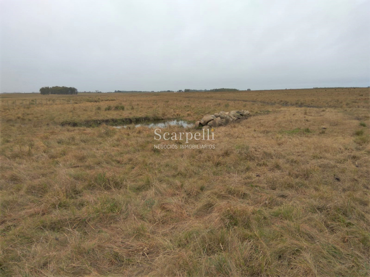 Campo Ref.42955 - Estupendo Campo Agrícola Ganadero proximo a Ruta 5 y Ciudad de Durazno