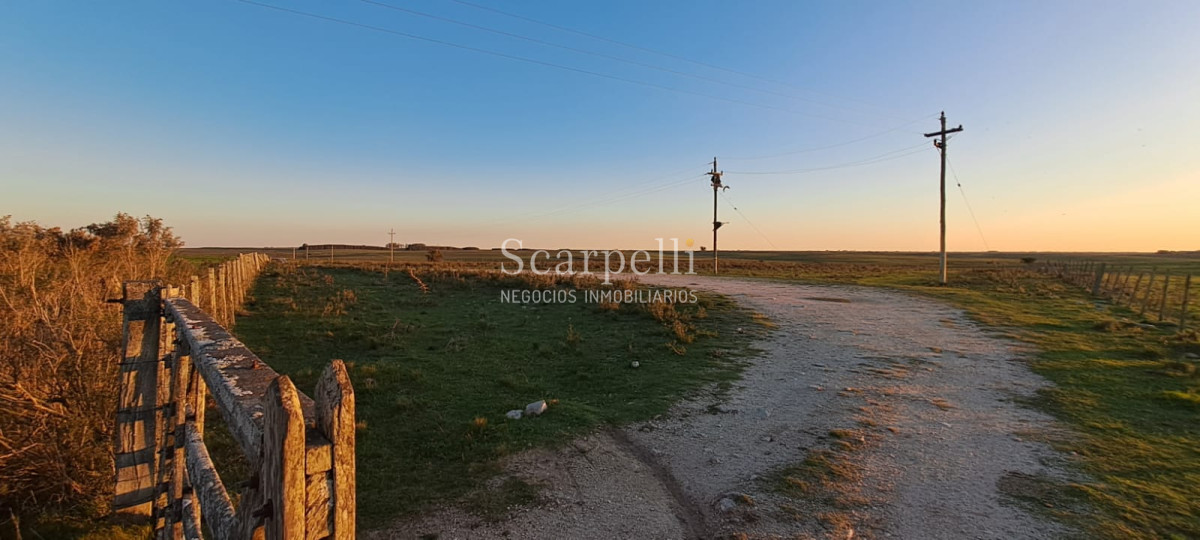 Campo Ref.42955 - Estupendo Campo Agrícola Ganadero proximo a Ruta 5 y Ciudad de Durazno