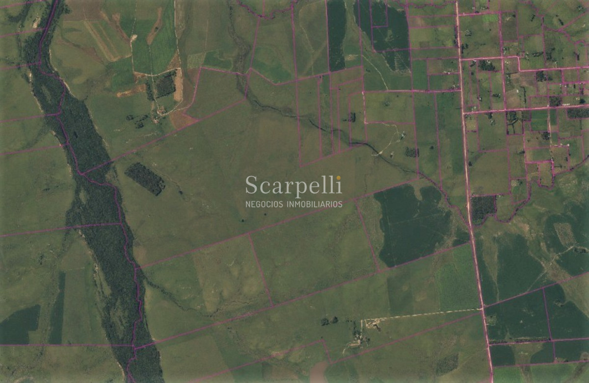 Campo Ref.42955 - Estupendo Campo Agrícola Ganadero proximo a Ruta 5 y Ciudad de Durazno