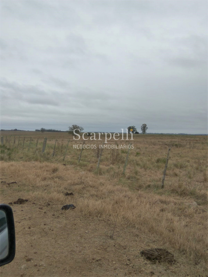Campo Ref.42955 - Estupendo Campo Agrícola Ganadero proximo a Ruta 5 y Ciudad de Durazno