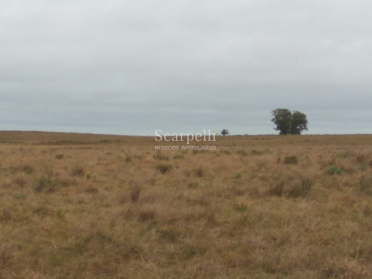 Campo Ref.42955 - Estupendo Campo Agrícola Ganadero proximo a Ruta 5 y Ciudad de Durazno