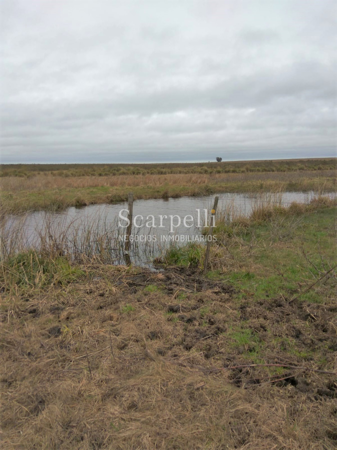 Campo Ref.42955 - Estupendo Campo Agrícola Ganadero proximo a Ruta 5 y Ciudad de Durazno