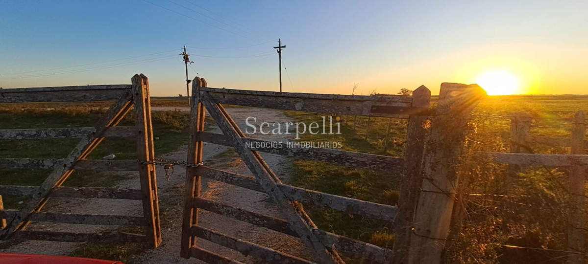 Campo Ref.42955 - Estupendo Campo Agrícola Ganadero proximo a Ruta 5 y Ciudad de Durazno