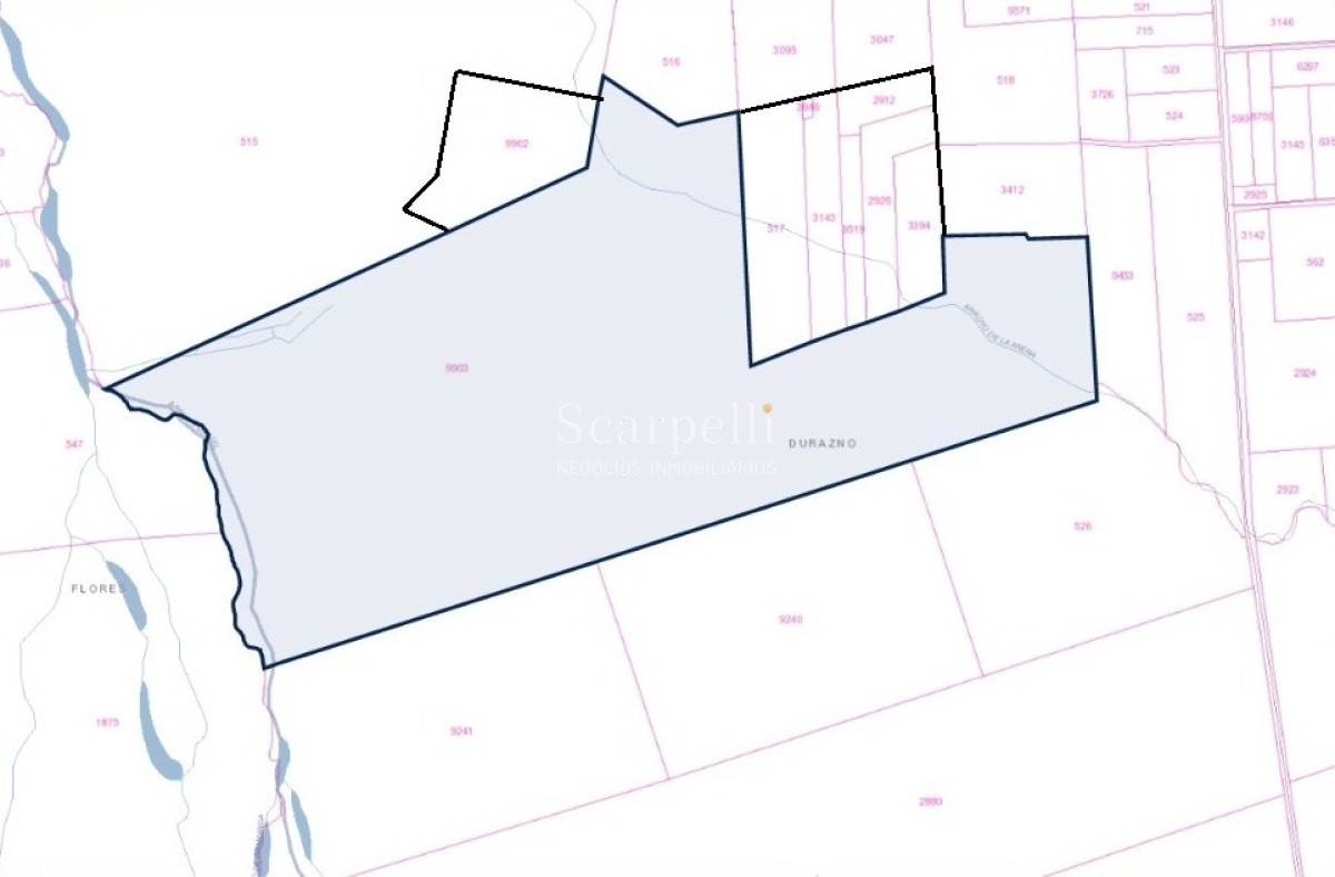 Campo Ref.42955 - Estupendo Campo Agrícola Ganadero proximo a Ruta 5 y Ciudad de Durazno