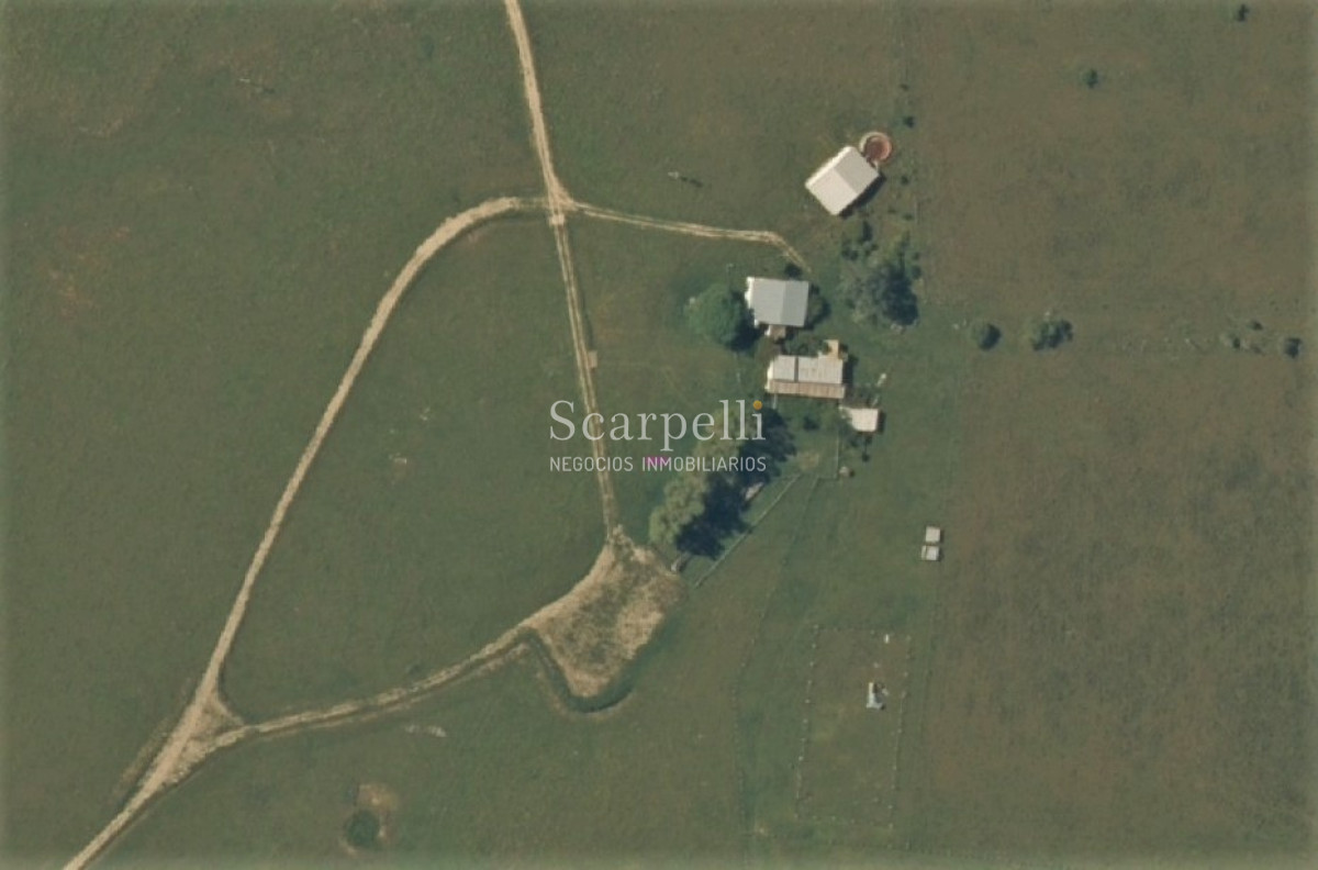 Campo Ref.42955 - Estupendo Campo Agrícola Ganadero proximo a Ruta 5 y Ciudad de Durazno