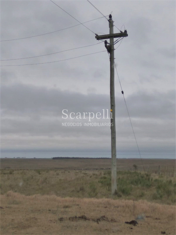 Campo Ref.42955 - Estupendo Campo Agrícola Ganadero proximo a Ruta 5 y Ciudad de Durazno