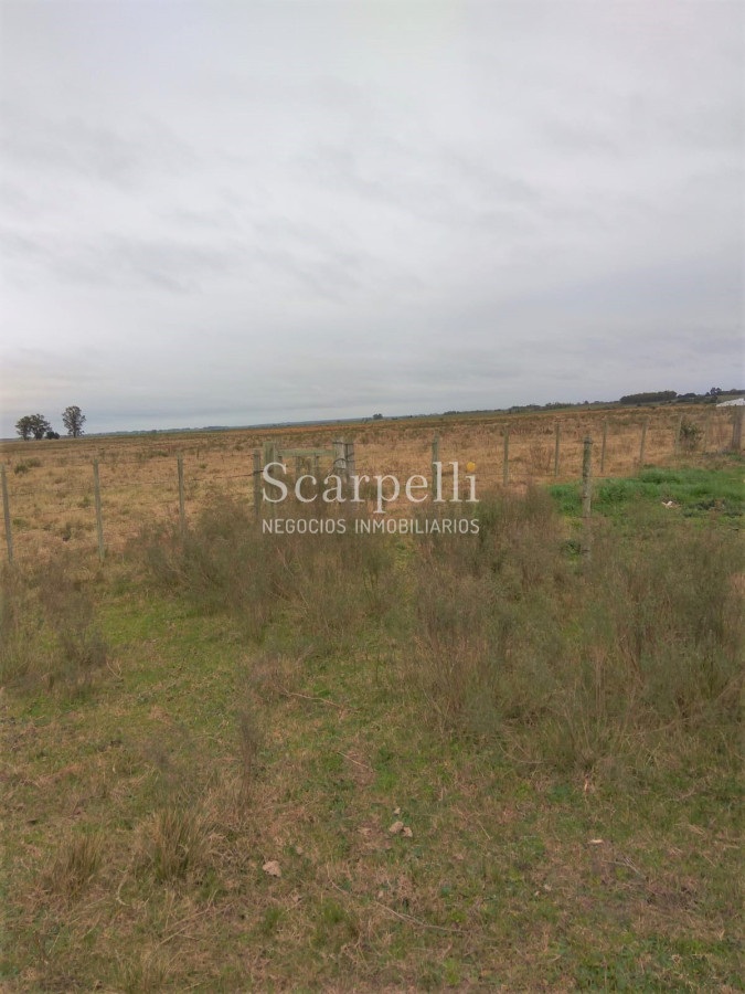 Campo Ref.42955 - Estupendo Campo Agrícola Ganadero proximo a Ruta 5 y Ciudad de Durazno