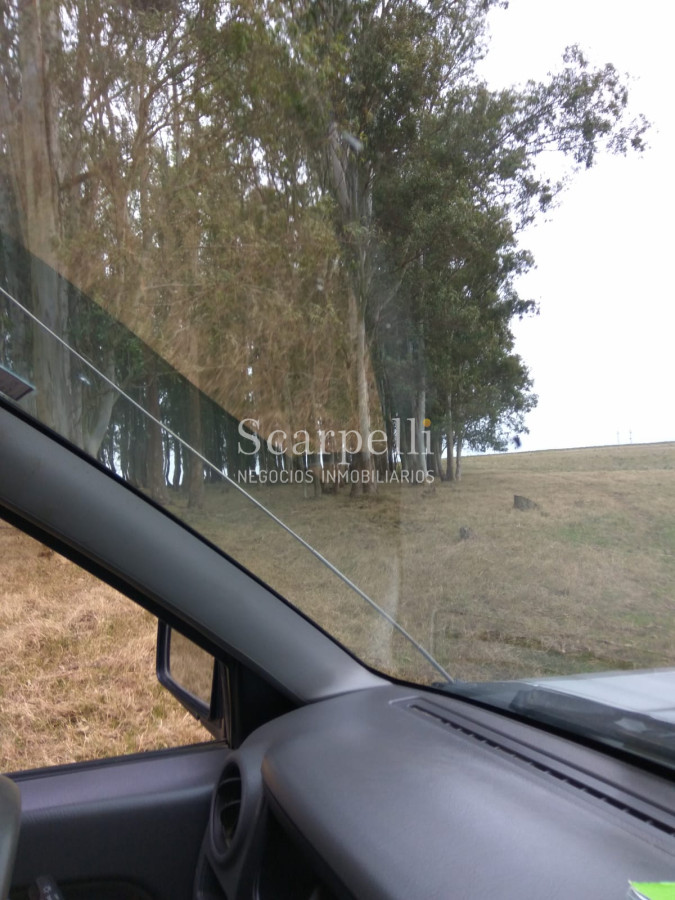 Campo Ref.42955 - Estupendo Campo Agrícola Ganadero proximo a Ruta 5 y Ciudad de Durazno