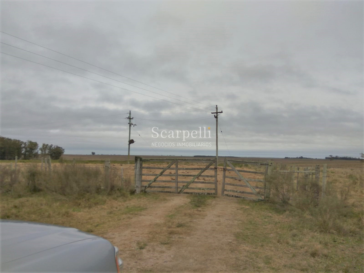 Campo Ref.42955 - Estupendo Campo Agrícola Ganadero proximo a Ruta 5 y Ciudad de Durazno