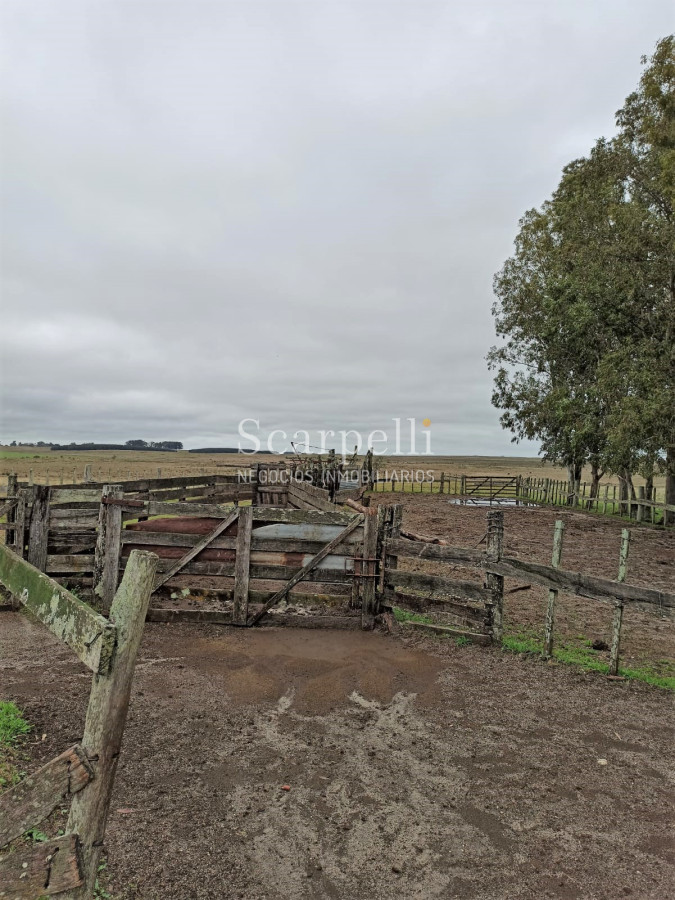Campo Ref.42955 - Estupendo Campo Agrícola Ganadero proximo a Ruta 5 y Ciudad de Durazno