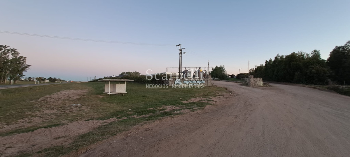 Campo Ref.42955 - Estupendo Campo Agrícola Ganadero proximo a Ruta 5 y Ciudad de Durazno