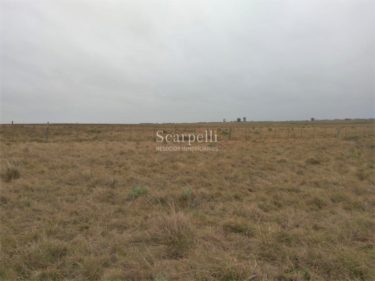 Campo Ref.42955 - Estupendo Campo Agrícola Ganadero proximo a Ruta 5 y Ciudad de Durazno