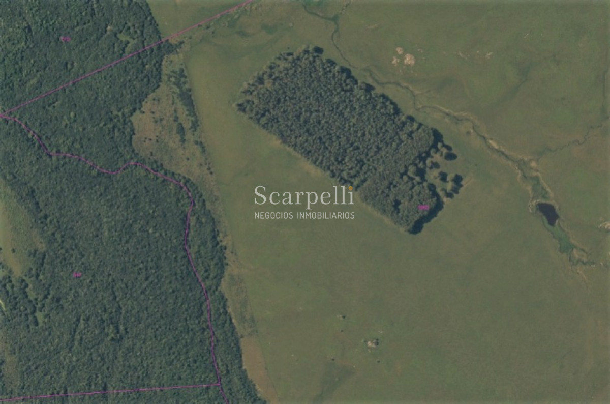 Campo Ref.42955 - Estupendo Campo Agrícola Ganadero proximo a Ruta 5 y Ciudad de Durazno