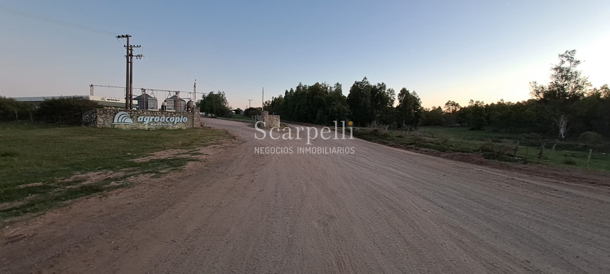 Campo Ref.42955 - Estupendo Campo Agrícola Ganadero proximo a Ruta 5 y Ciudad de Durazno